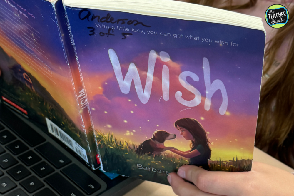 Wish by Barbara O'Connor